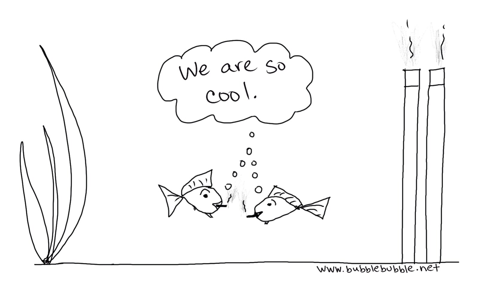 We are so cool — two hand-drawn fish doodle by Bubble Bubble